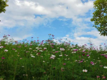 1655437568383423.png 圖片01.png