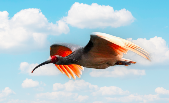 1712554857649029.png 001.png